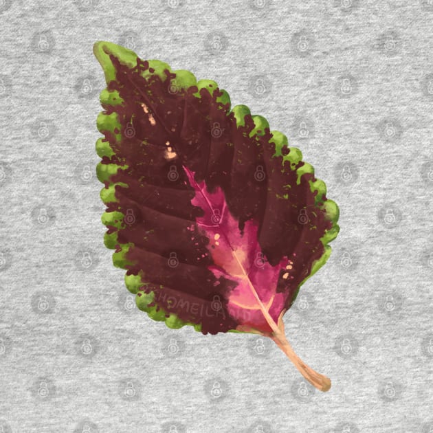 Coleus Chocolate Mint Leaf by Khotekmei